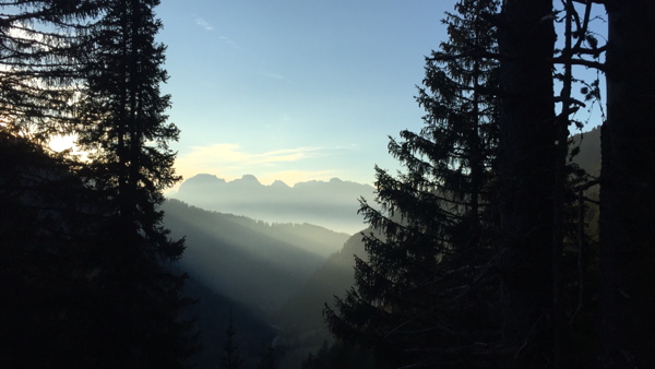 Bild "Willkommen:Herbst2018-800x600.jpg"